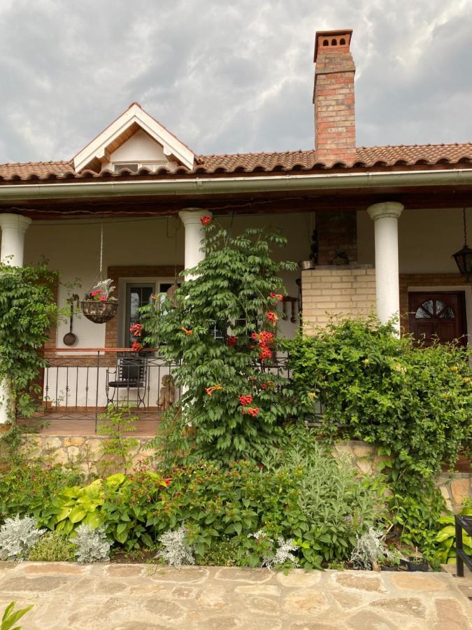 Country Club La Mesteceni Себеш Екстер'єр фото