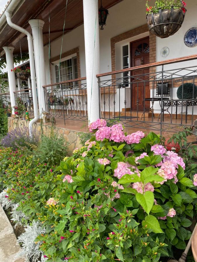 Country Club La Mesteceni Себеш Екстер'єр фото